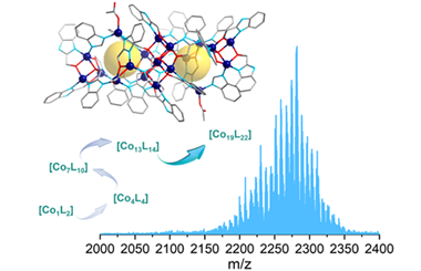 Tandem assembly-disassembly-reassembly of hierarchical Co19 coordination cluster facilitated by in-situ ligand transformation: Crystallography and ESI-MS revealed mechanism  2025.100659